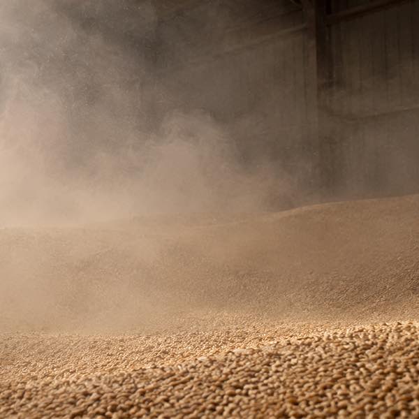 Dust coming from grain in store