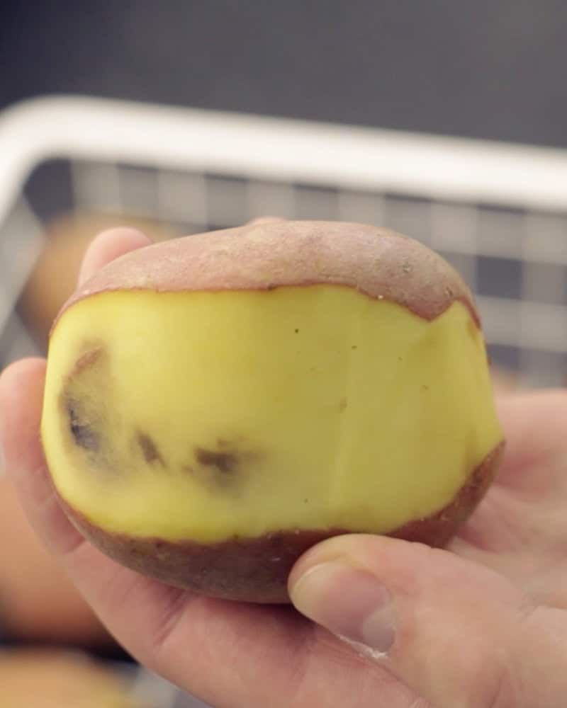 Ensuring manual checks are conducted should be part of any potato storage checklist.